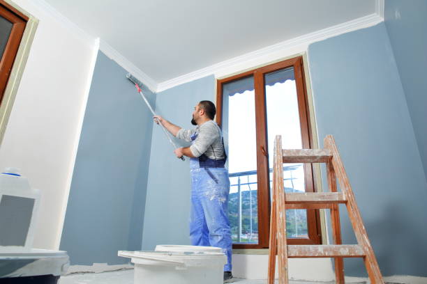 Reliable Albion, NE Mold Removal Solutions