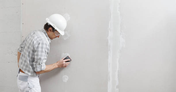 Best Asbestos and Lead Testing During Mold Inspection  in Albion, NE