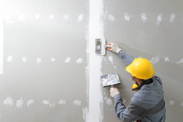 Best Mold Removal for HVAC Installations  in Albion, NE