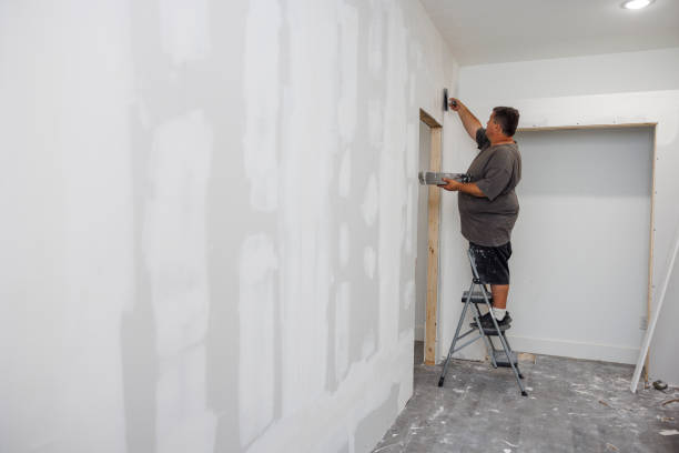 Best Black Mold Removal  in Albion, NE
