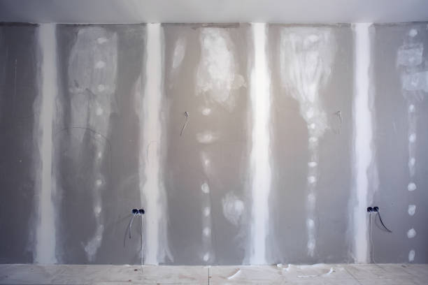 Best Mold Remediation for Healthcare Facilities  in Albion, NE